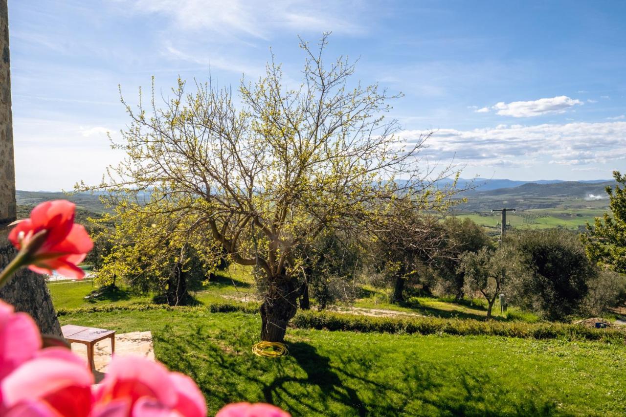 Podere Montale Il Borgo Seggiano Εξωτερικό φωτογραφία